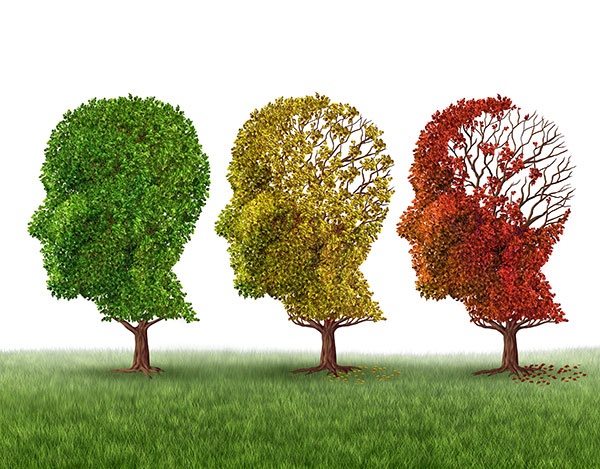 medical icon of a group of color changing autumn fall trees shaped as a human head losing leaves as intelligence function on a white background.